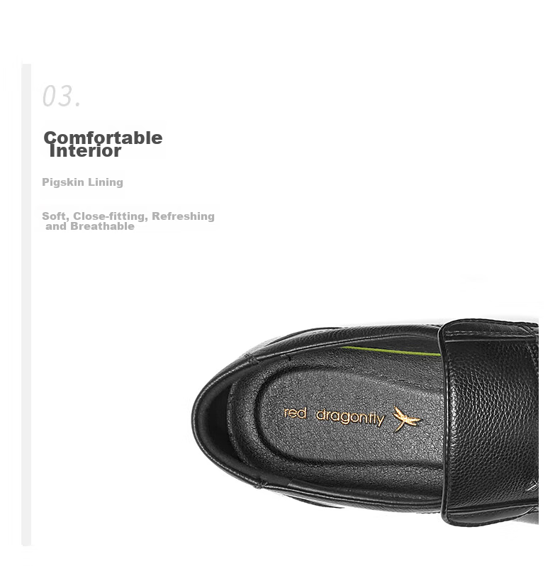 RED DRAGONFLY Leather Slip-On Dad Shoes, Casual Shoes for Men, Business Leather Shoes for Men, WTA23336, Black, Size 44 6