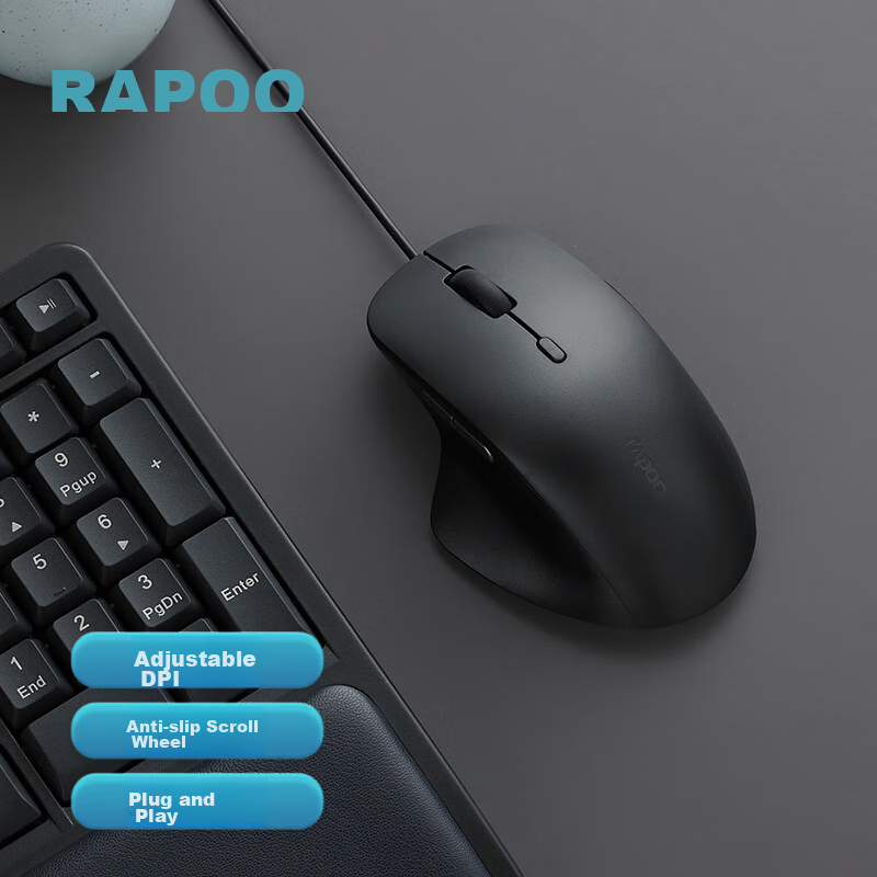Rapoo (Rap-0141055