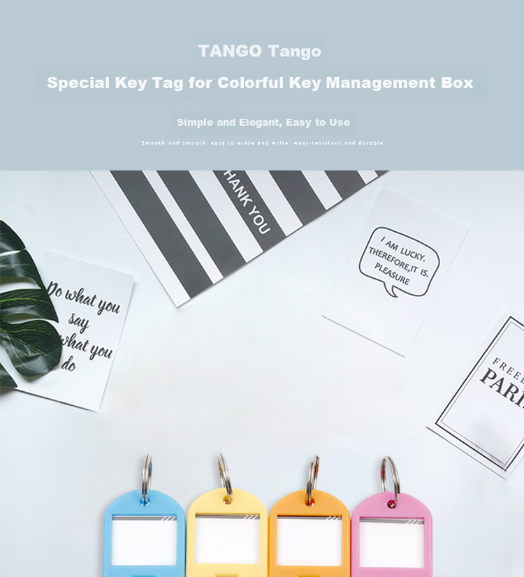 TANGO Key Storage Tray Organizer, Specialized Key Holder for 24 Keys, Color-Coded Classification, Office Storage Key Management, Key Tags, Key Rings 1