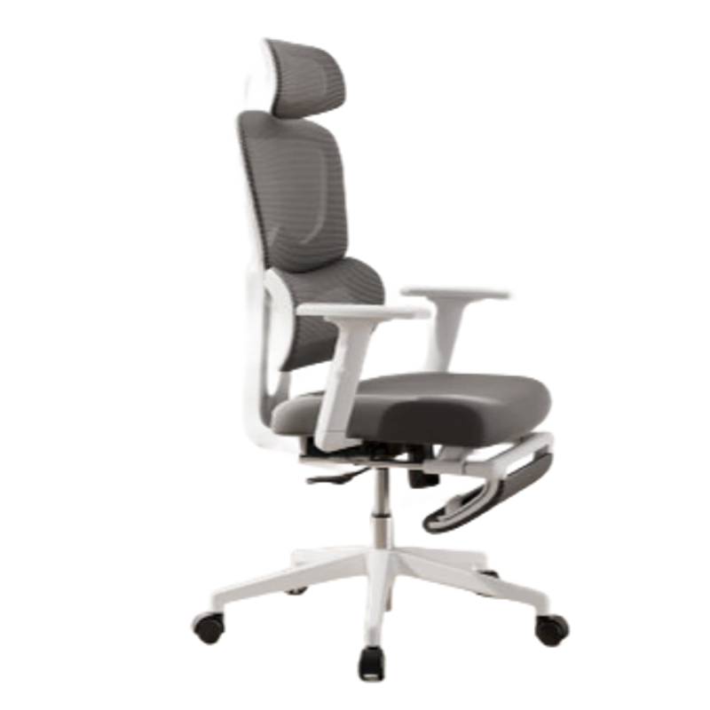 Deli Surfer Series Ergonomic Office Chair with 3D Lumbar Support, Height Adjustable Armrests And Footrest, Gray