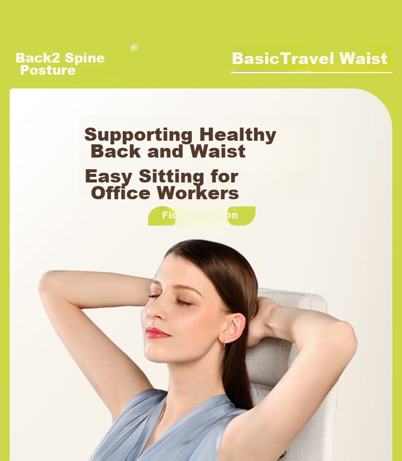 Back2 Lumbar Support, Office Ergonomic Back Cushion, Long-Sitting Aid, Car Pillow, Waist Pillow, Gray 1