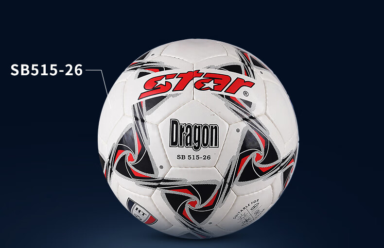 Star Star Youth Soccer Ball Size 5 Hand-Stitched Training And Match Ball SB515-05 11