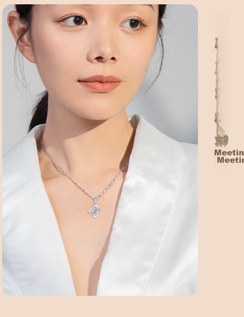 Zhoubaifu [1000+ Stores] Four-Leaf Clover Necklace for Women, Luxurious Silver Pendant, Birthday Gift for Girlfriend Or Wife 13