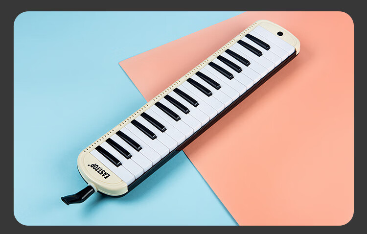 EAST TOP 37-Key Melodica T37, Beginner's Classroom Performance Instrument for Children, Musical Enlightenment Tool, White 14