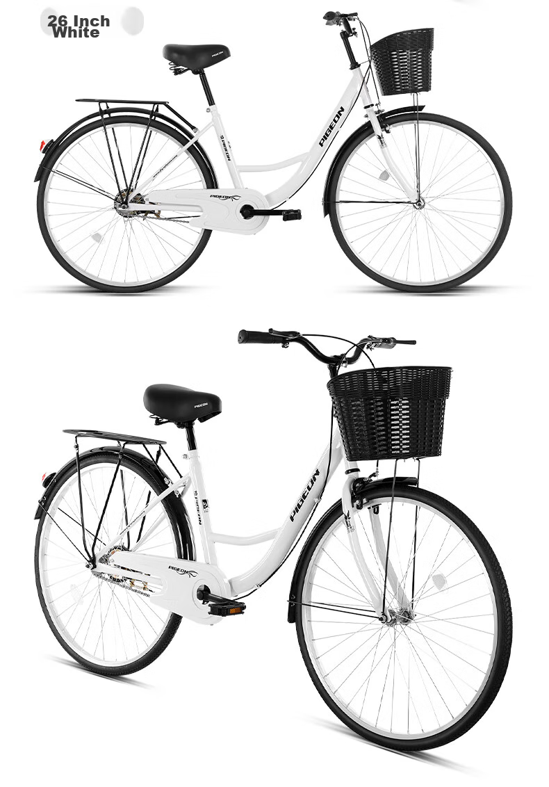 FG FLYING PIGEON City Bicycle, 24-Inch, Tubeless Solid Tire, Commuter Bike for Men And Women, Adult Student Urban Retro Style 18
