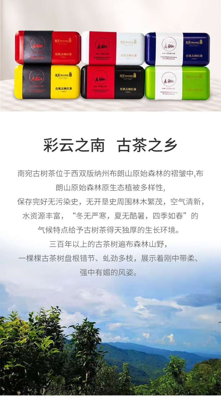 炫彩-2.jpg