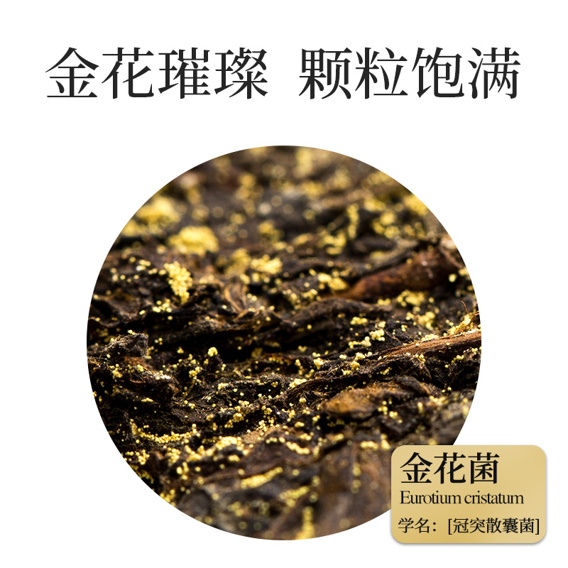 泾渭茯茶黑茶 过节礼盒 咸阳茯茶 陕西西安特产 金花茯砖茶 岁岁有茯700g
