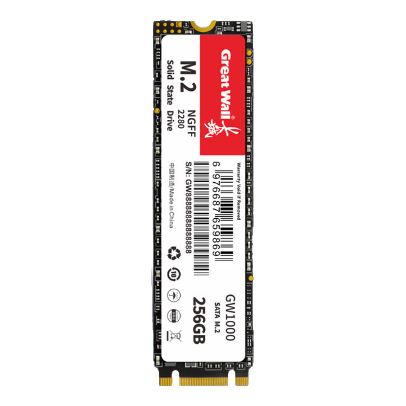 Great Wall 256GB SSD Solid State Drive, M.2 Interface SATA Protocol, Read Speed 540MB/s, GW1000 Series