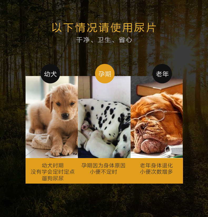碳分子尿垫790-11.jpg