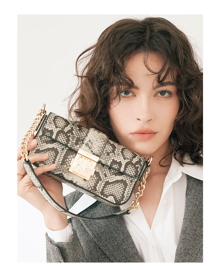 ELLE New Women's Handbag, Retro Small Square Bag, Chain Crossbody Shoulder Underarm Bag, Birthday Gift, 23007 Brow 1