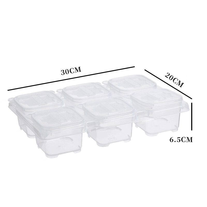 Baijie Food Sample Storage Box, Kindergarten School Hotel Fresh-Keeping Material Sampling Box, 6 Compartments Integrated (With Labels)