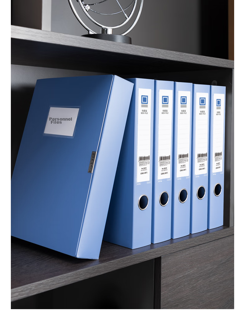 Deli 50mm A4 Plastic File Box, Thickened Accounting Archive Box Document Box File Box Financial Voucher Box Exam Storage 5623 16
