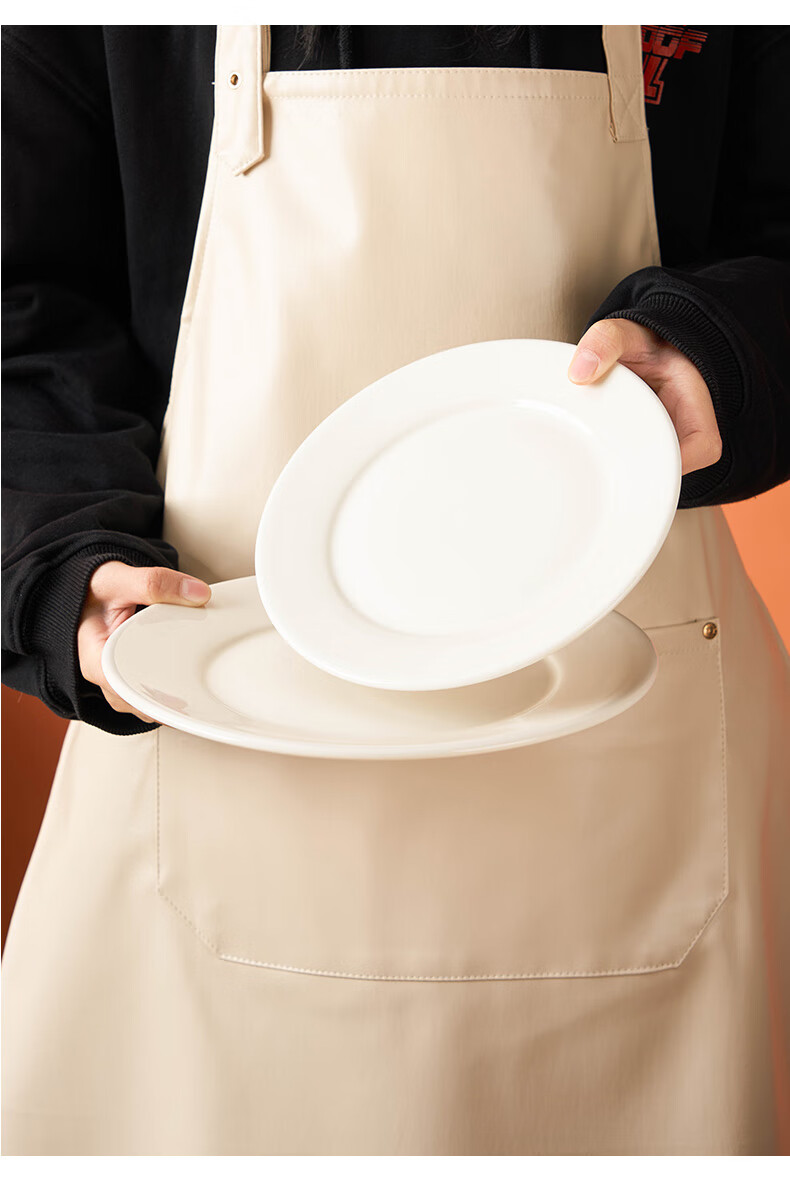 Youlaifu Ceramic Steak Plate, Home Dining Plate, 10-Inch European-Style Western Plate, Hotel Commercial Use, Microwave Safe, Set of 2 5