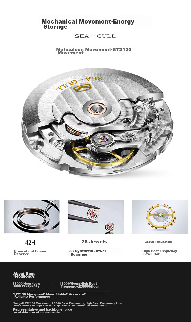 SEAGULL Men's Automatic Mechanical Watch with Date Display And Luminous Hands, Birthday Gift for Men 819.23.6081H 2