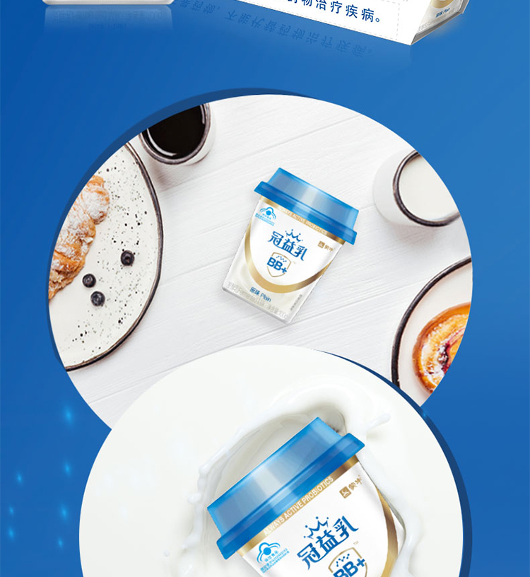 蒙牛冠益乳bb12原味保健酸奶100g3增强免疫力小蓝帽益生菌低温酸牛奶
