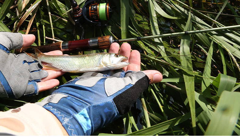 Guowangluya Lure Rod, Guwangliuzunmaokou Rod, UL Micro Fishing Rod, Ultra-Soft Stream Rod, Ultra-Light Baitiao Rod, 1.45 Meters UL Straight Handle 10