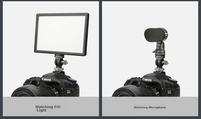 Benro S2N Hydraulic Head, Mirrorless And DSLR Camera Photography And Video Tripod, Monopod, Sliding Rail, Bird Shooting, Dynamic Balance, Quick Release, Hand Hole, Damping Head 8