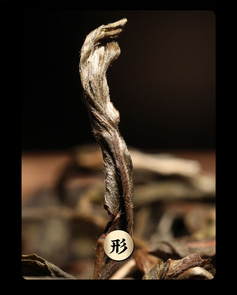 新益号茶叶普洱茶生茶 冰岛地界生普洱散茶云南典藏古树春茶礼盒装