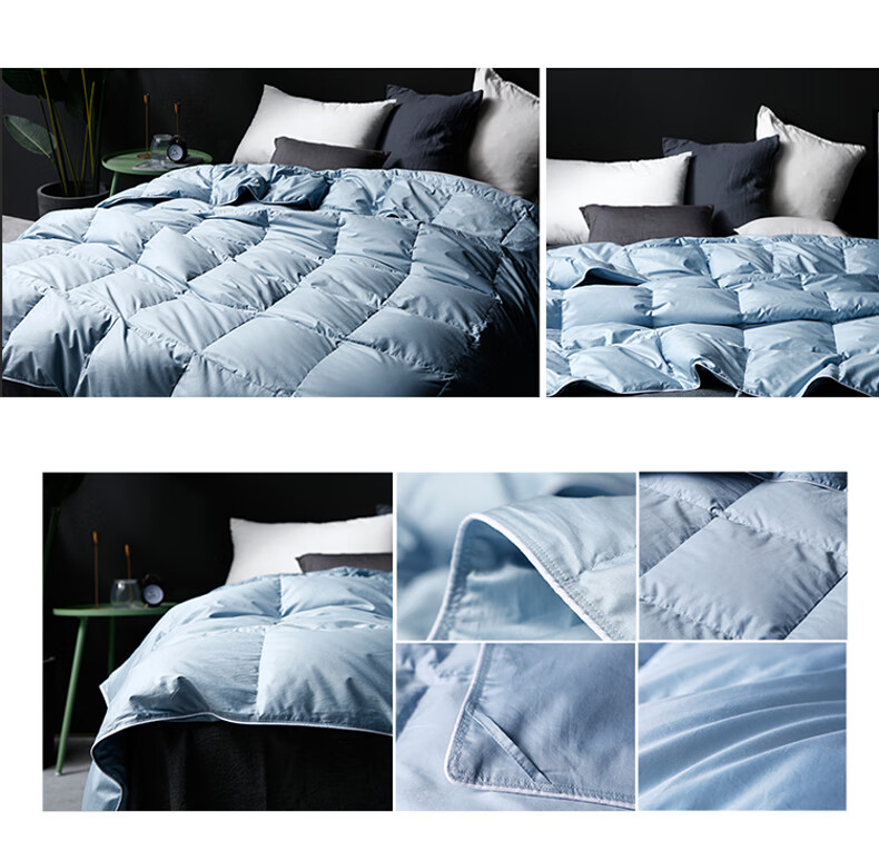 Sinuoman High-Quality 100% Imported 95% White Goose Down Duvet Insert, Comforter for Air Conditioning And Heating, 2.2*2.4m, 320g Filling, Gray 21