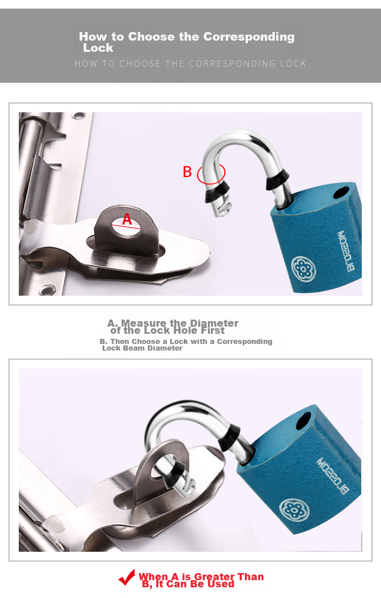 BLOSSOM Master Key Padlock, Door Lock, Electric Meter Box Lock BC2932-1 Blue 30MM One Key Opens Multiple Locks 4