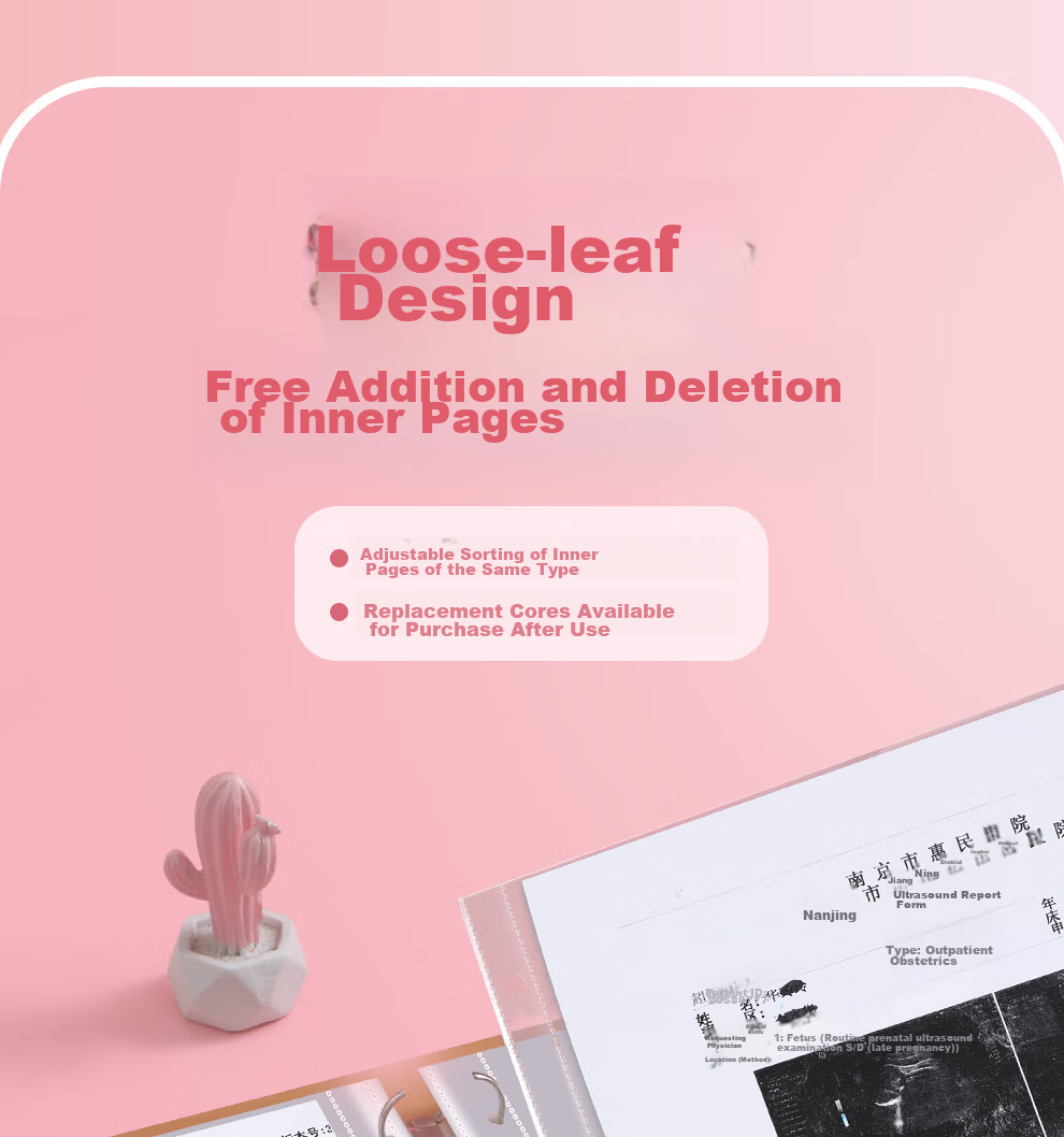 Jiaran Heng Vaccination Certificate Protective Cover 2026 New Large Vaccine Book Pink Baby Horse Design 12