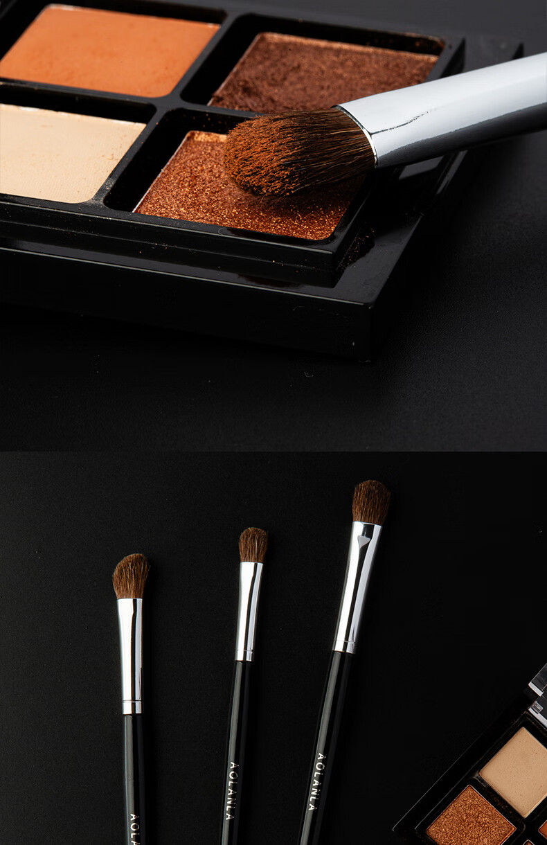 AOLANLA Master Series Professional Eyeshadow Brush Set: Small Horse Hair Makeup Brushes for Nose Shadow, Eye Contouring, Blending, And Detail Brushing 11