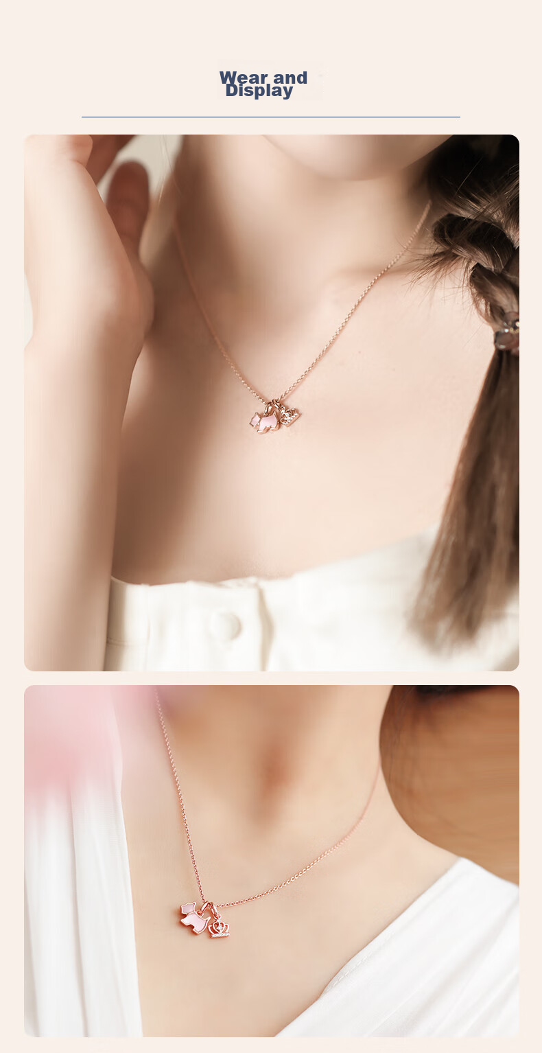 AGATHA Colorful Destiny Light Luxury Silver Necklace for Women, Birthday Gift for Girlfriend with Elegant Pendant 6