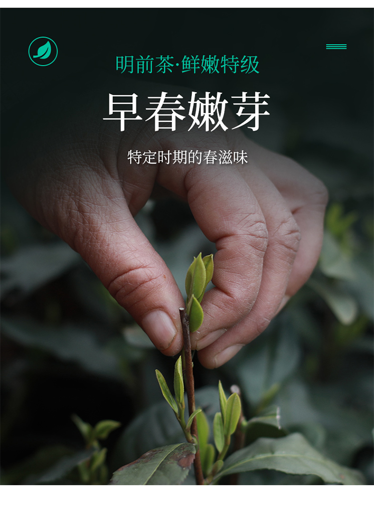 

2020新茶上市卢正浩茶叶绿茶明前特级龙井茶叶春茶传统纸包西湖（5022081）200g