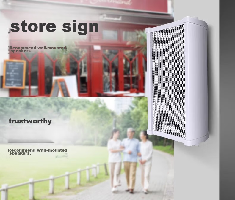SAST 20W Wireless Bluetooth Ceiling Speaker Set, Indoor Recessed, for Supermarkets, Shops, Classrooms, Meetings, Background Music, Public Address System, Suspended Ceiling Speakers, One-To 17
