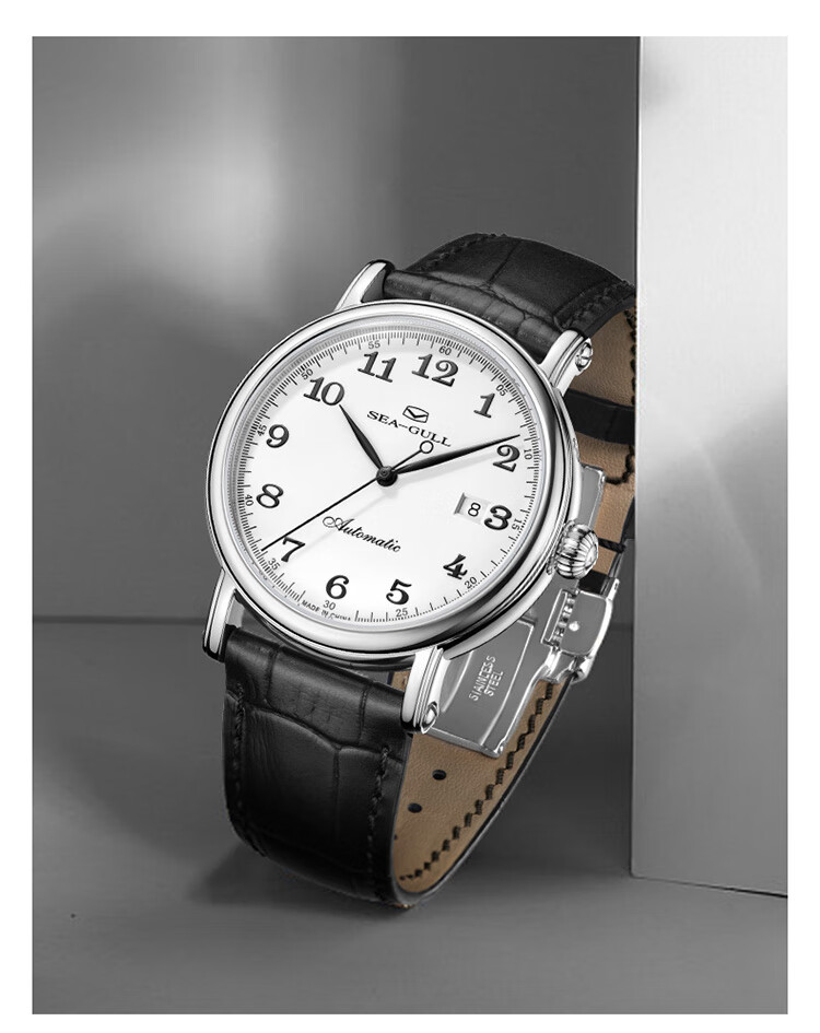 SEAGULL Automatic Mechanical Watch for Men, Simple Calendar Men's Watch, Birthday Gift for Men, National Watch 819.13.1054 7