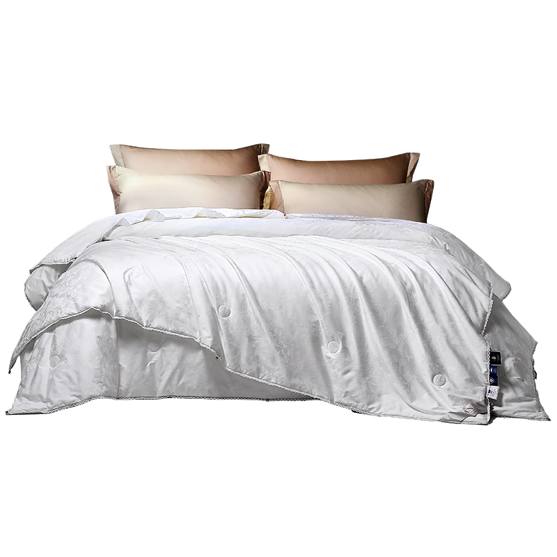 FUANNA Silk Comforter, 100% Mulberry Silk Double Cocoon Duvet, Winter Thickened Quilt, 11 Jin (5.5 Kg), 203*229cm