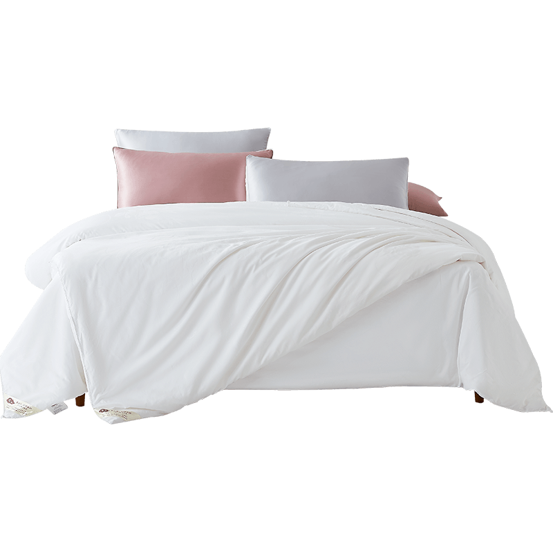 Ciyun National Color Silk Comforter, Selected 100% Mulberry Silk Long Fiber Grade A Premium Spring And Autumn Quilt, 5.8 Jin (2.9 Kg), 2.2*2.4m
