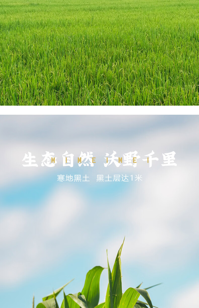 详情图.png