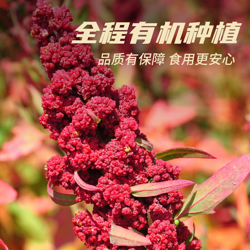 素养生活有机三色藜麦450g 红藜麦 黑藜麦 白藜麦营养搭配 轻食 杂粮粗粮