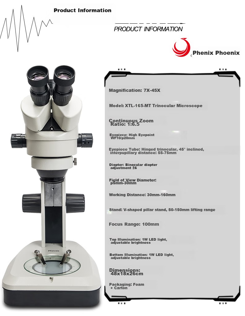 Phenix XTL-165 Triocular Stereomicroscope Continuous Magnification Circuit Board Inspection, Mobile Phone Repair, Biological Dissectio 3