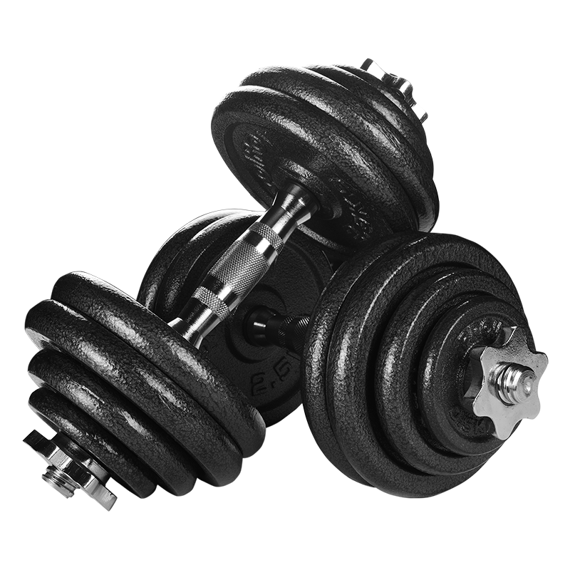 PROIRON Puli'ai Adjustable Pure Iron 30KG Dumbbell Set for Men's Home Fitness + 35cm Connecting Rod