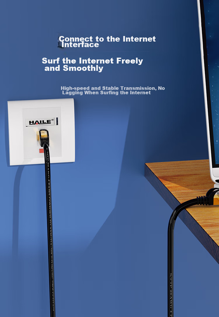 HAILE, Cat8 Pure Copper Ethernet Cable, 10 Gigabit Network Dual-Shielded Connection Cable, Network Cable with Double Connectors, Gaming E-Sports 1 Meter, HT-548 6