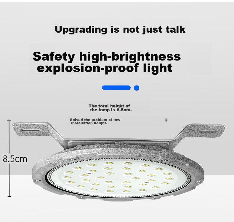 Xinya Explosion-Proof Light, LED Ceiling Light, IP65 Rated, Explosion-Proof Type for Factories And Warehouses, Gas Station Workshop Lighting, Explosion-Proof Floodlight, 50W 3