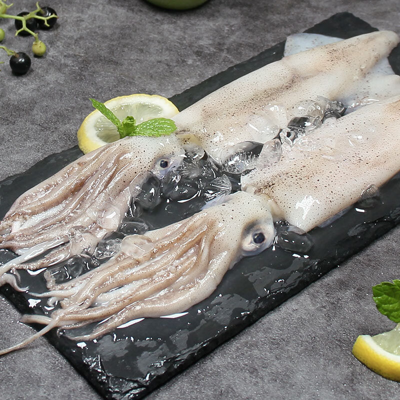 富海锦鲜冻笔管鱿鱼1斤鱿鱼 海兔子 墨斗鱼 火锅烧烤食材海鲜生鲜软足类