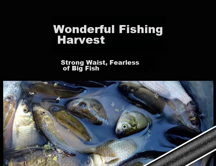 Renniaofei Fishing Rod Set, Tackle Set, Hand Rod, Ultra-Light And Hard, Platform Fishing Rod, High Carbon Carp Rod, 4.5 Meters, RBF012 15