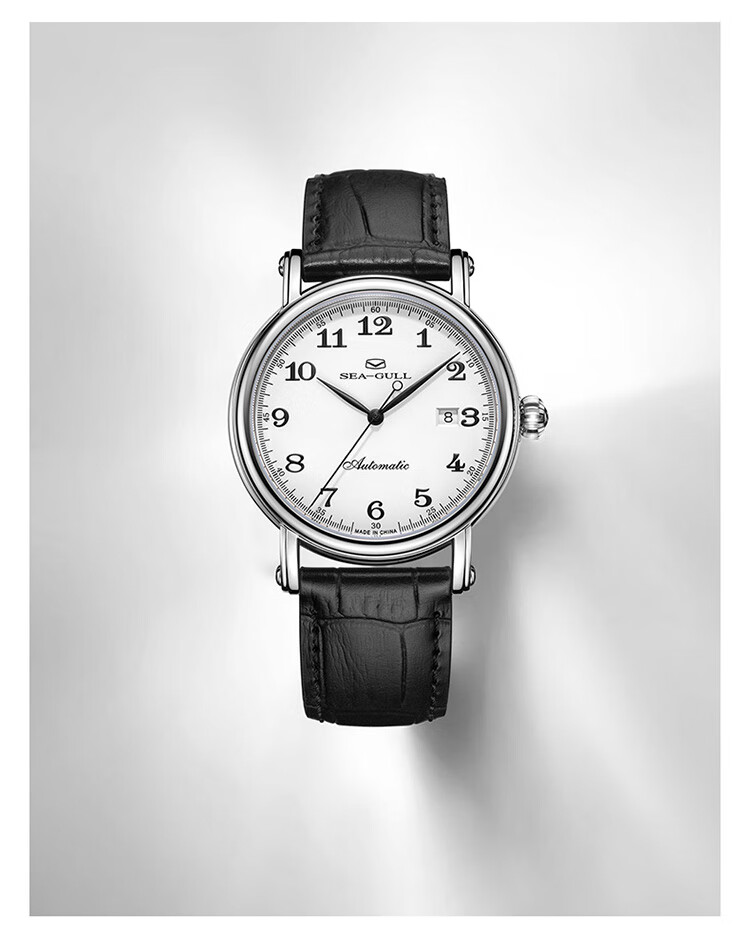 SEAGULL Automatic Mechanical Watch for Men, Simple Calendar Men's Watch, Birthday Gift for Men, National Watch 819.13.1054 6