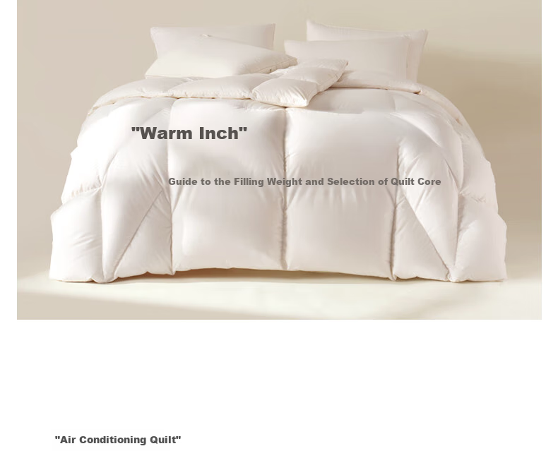 Interlagos Class A 90% White Goose down Comforter, Imported from Japan, Air Conditioning Quilt, 320g, 220*240cm, White 40