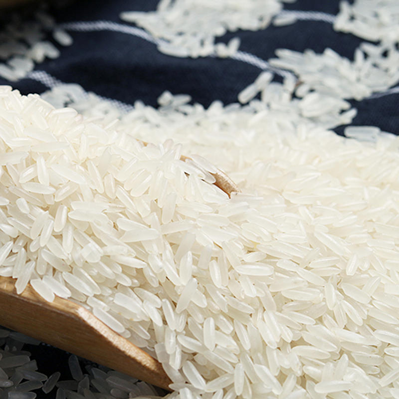 增荔 增城丝苗米30斤国家地标南方籼米大米