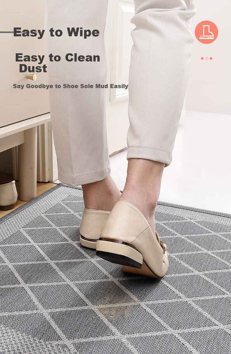 Dajiang Entrance Door Mat 2026 New Model Doorway Floor Mat Carpet 60x90cm 5