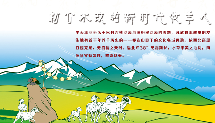 陇原中天 原切羔羊肉串 280g/袋*4袋 图1