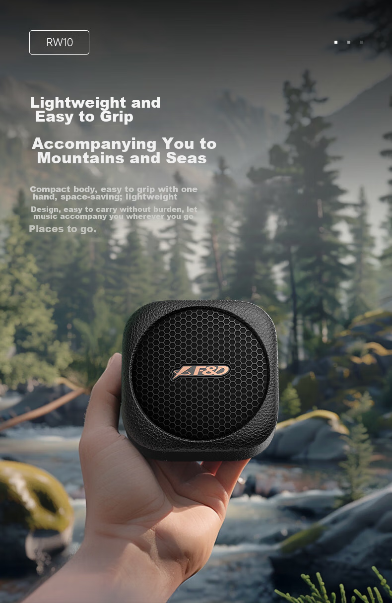 F&D RW10 Retro Outdoor Portable Bluetooth Speaker, IPX5 Waterproof, TWS Connectivity, Long Battery Life, for Camping, Hiking, Cycling, Small Speaker with Subwoofer 3