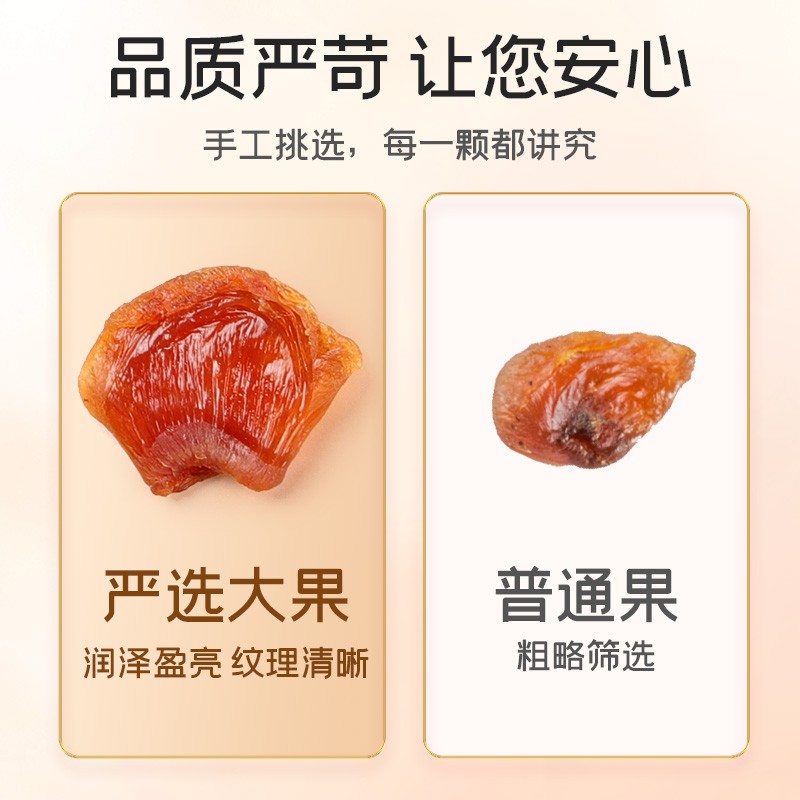 富昌 桂圆肉480g 无核免剥福建特产干货龙眼肉干果 煲汤泡茶水煮粥