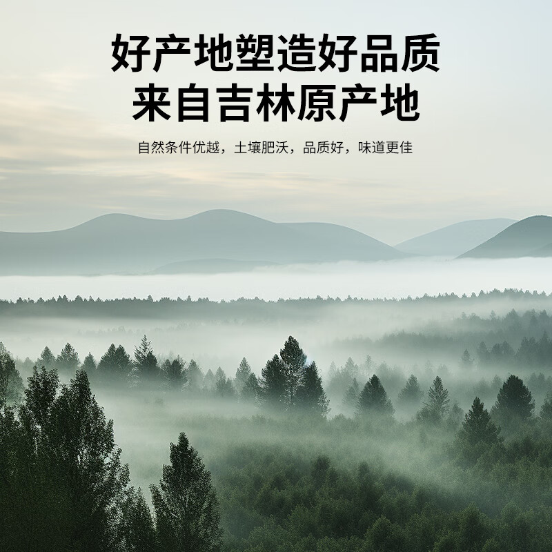 同仁堂品牌 北京同仁堂丁香叶茶100克泡茶花草茶丁香嫩叶养生滋补