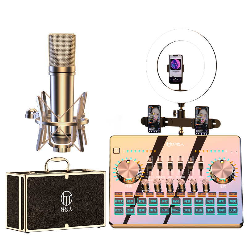 Haomuren Sound Card Live Streaming Equipment Complete Set for Singing on Mobile Phones, Karaoke Microphone, Outdoor TikTok Host Recording Professional Microphone Stand with Fill Light, External Computer SO8 Sound Card