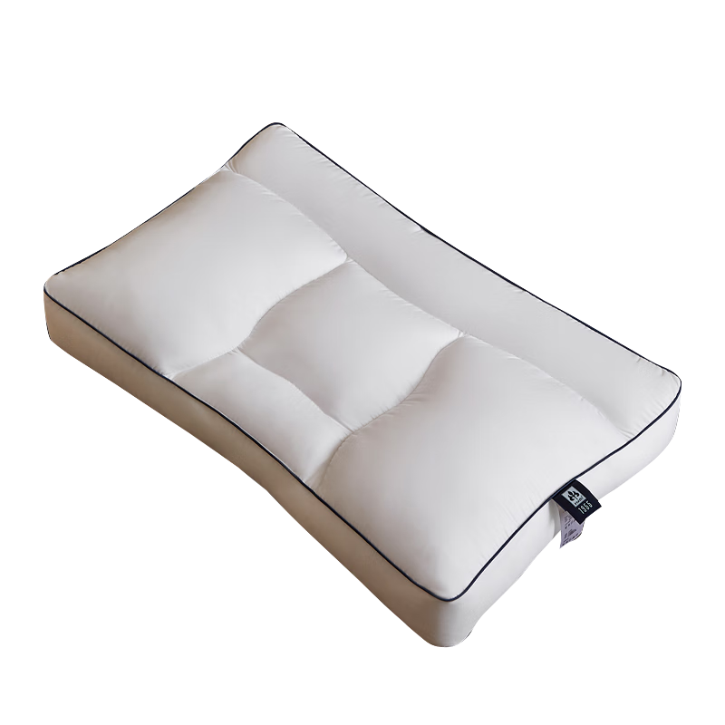 Irisette German Zoned Down Pillow, 95% White Goose down, Washable Goose down Pillow, Hotel Antibacterial Pillow Core, High Pillow, Single Pack